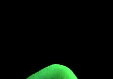 i explore tammys new tits in sims 4 cartoon adventure