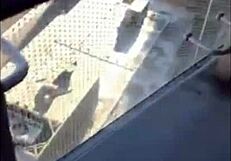 Is This Fat Slut Craving Big Black Cock Deep Throat?