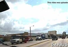 Suck that gay cock in the competition!