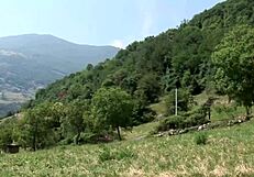 Amateur Bitch's Anal Blowjob