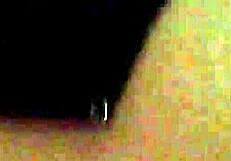 reina deyanira shares her first video with stockings and couple moments