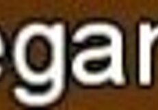 babe blows indian cock in massage session