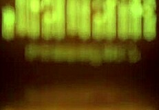 mary jhuana wakes up horny and masturbates to orgasm