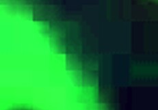 i love this fat bbw swallowing my cum nastily