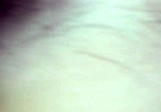 cojiendo de a perrito with hot wife in anal action