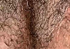 Juicy phat chocolate pussy glistens with wetness in detailed close-up