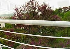 I watch Lia in a group scene from Cum for Cover.