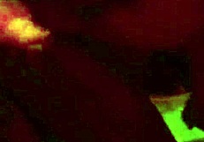 Latina babe delivers relaxing yet exciting blowjob with facial