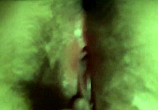 In the heat of passion, a lesbian couple explores wet pussy pleasures with intense sex.