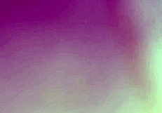 mr camilo fucks hard and creampies