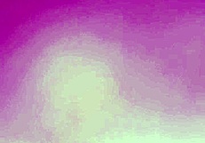 mr camilo fucks hard and creampies