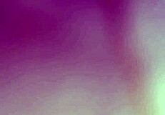 mr camilo fucks hard and creampies