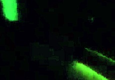 Brazilian Woman Exposes Breasts Outside Car in Porto Alegre Public