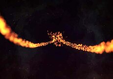 Old lawyer brings niece to reality show, watch the pervert action