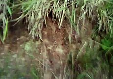 Crossdressing Bitch Bent Over for Doggystyle in Hidden Woods