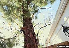 amateur black hottie sucks off white guy