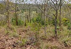 fucked my wife outside bent over