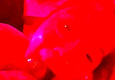 i'm 20yr old lexi cheating on my husband with a big black cock, deepthroating and swallowing cum