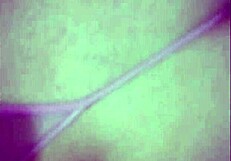 latina teen blows boss for raise