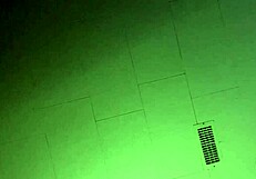 Canadian amateurs share homemade moments