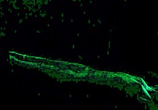 Carrie B's Blacklight Sex Left 2: Small Tits Fetish Fun!