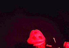 Cock painting turns into extreme hardcore masturbation session