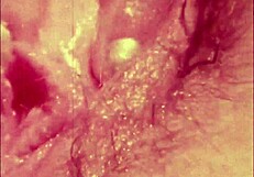 Vintage beauties, spill your secrets from the past!