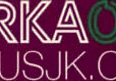 Jerkaoke kiera cole hooks up with her rockstar idol in doggystyle pickup