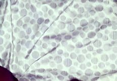 ebony amateur unleashes cum after anal pounding