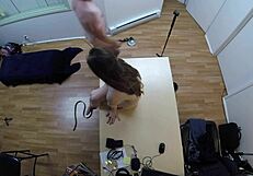 Sexy teen Gigi Breeze in POV casting interview