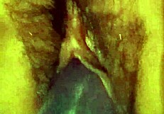 what my husband doesn't know i do when he's at work