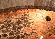 Watch huge penis in gay porn!