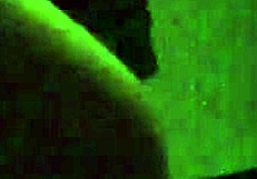 i give blonde teen blowjob pov