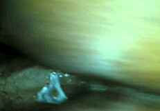 big ass girl taking that hard cock deep