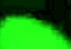 Now greased up and ready for some action