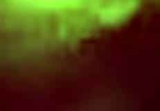 Now greased up and ready for some action