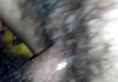 Fuck Dua Leo Girl Dam Hairy New Lon To With Big Tits And Pussy Fucking Amateurs.