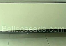 Will Bella Cheat with the Young Novice?