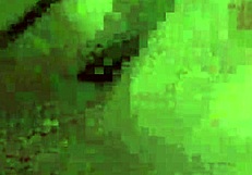 wild bbc threesome with hot milf and monster cocks in group action! 😈💦