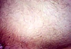 trimmed video file with gay interracial rough action