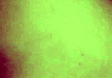 Yangpu's intense anal sex with mature woman