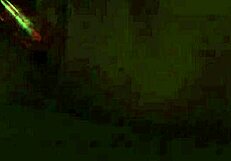 japanese beauties compilation for enthusiasts volume 50