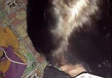 Late home arrival turns into public blowjob from colombian teen whore petite pussy sucking amateurs