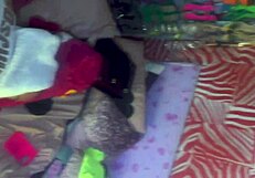 Vanessa Rafaella in a trailer scene with a bear companion