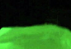 Having fun with the postal guy