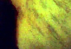 Watch This Married Amateur Get Her Ass Fucked Hard!