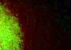 Watch This Married Amateur Get Her Ass Fucked Hard!