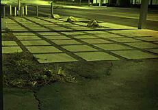 Big Tit Fuck Slave Shagadelic B!