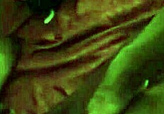 They have an ability to easily slide into a wet pussy of an oiled up horny girl for big black dick