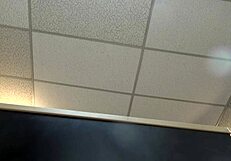 Watch PJ Daniels take that anal POV pounding hard!